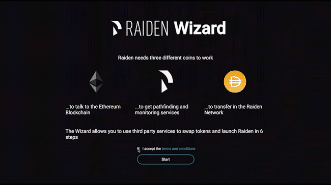 ../../_images/raiden_wizard.gif